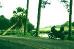 Tomoka State Park