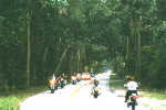 Tomoka State Park