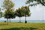 Lakeshore Drive