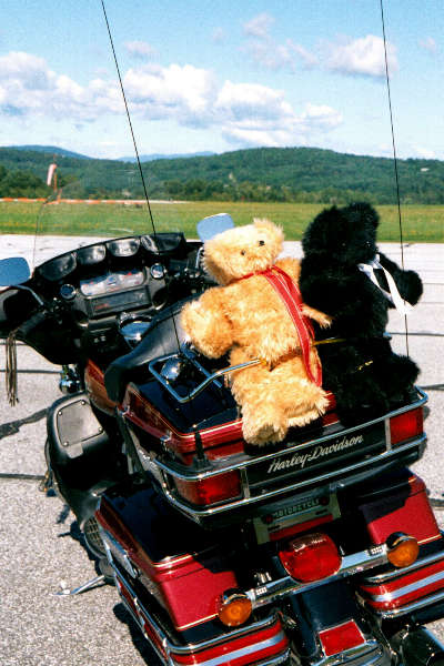 Teddies